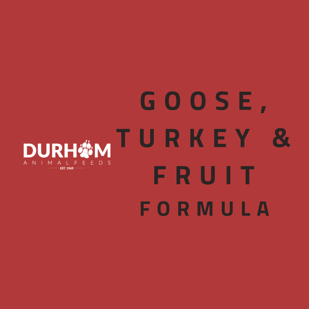 DAF - Goose, Turkey, Cranberry, Fruit & Veg 454g