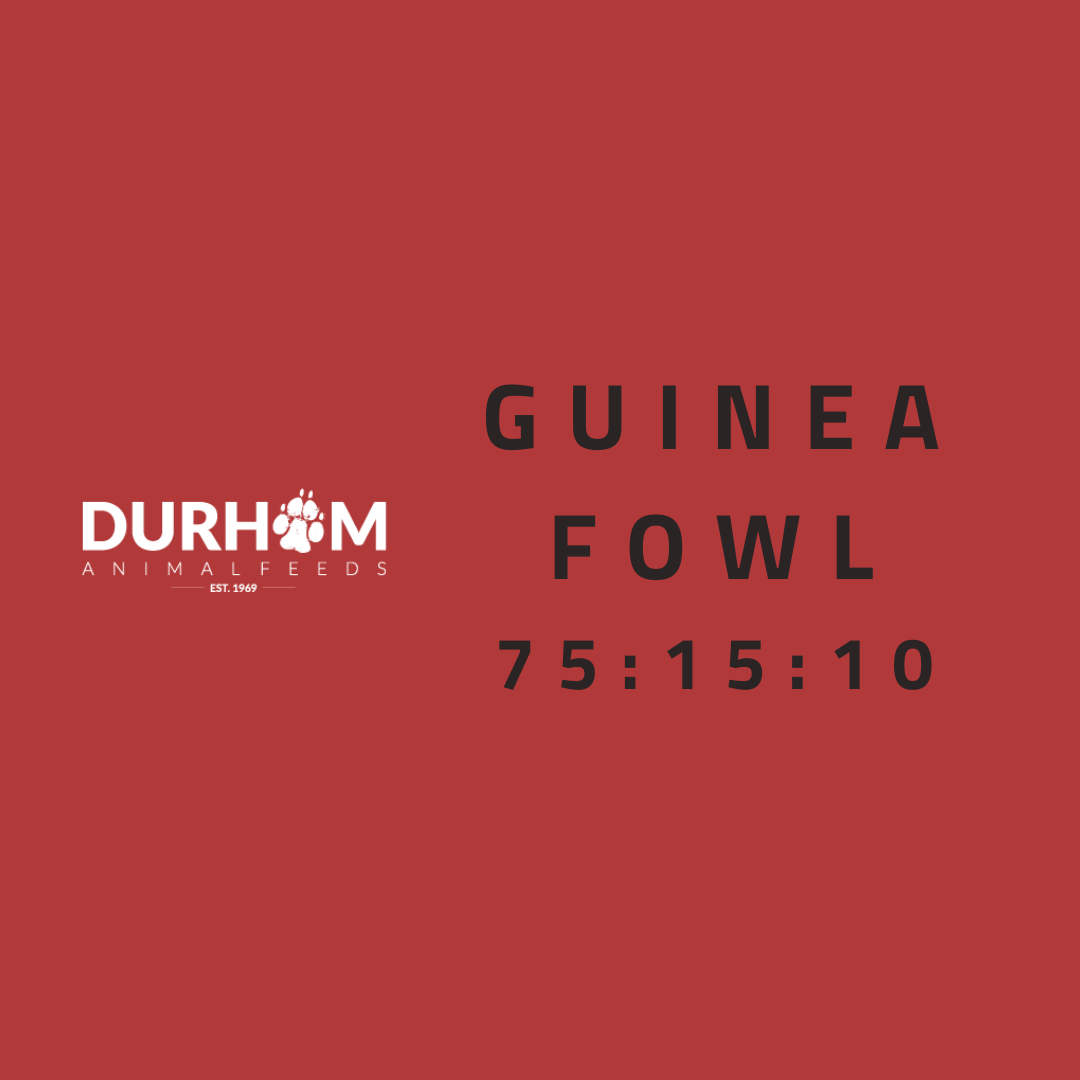DAF - Guinea Fowl 454g