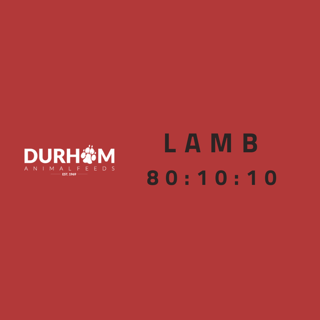 DAF - Lamb 454g