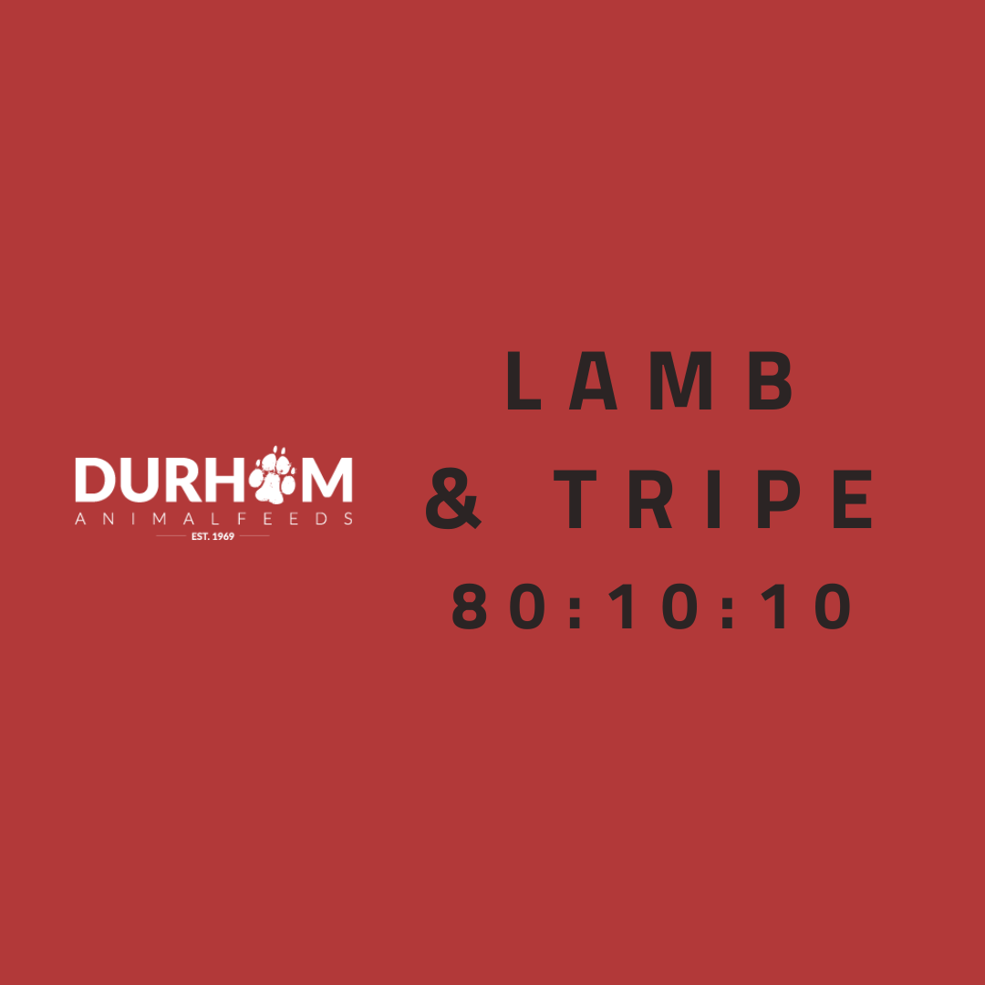 DAF - Lamb & Tripe 454g
