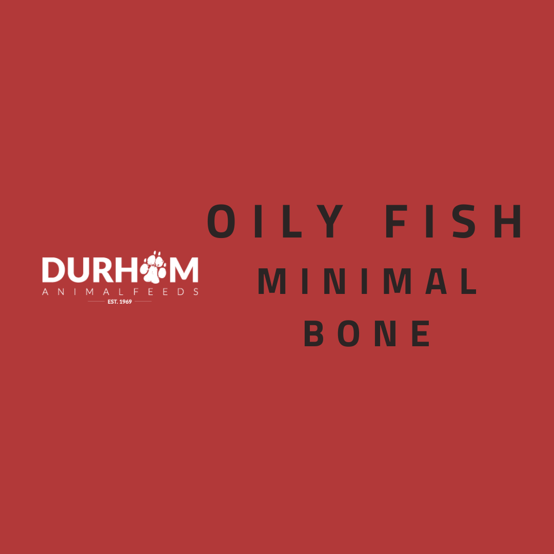 DAF - Oily Fish 454g