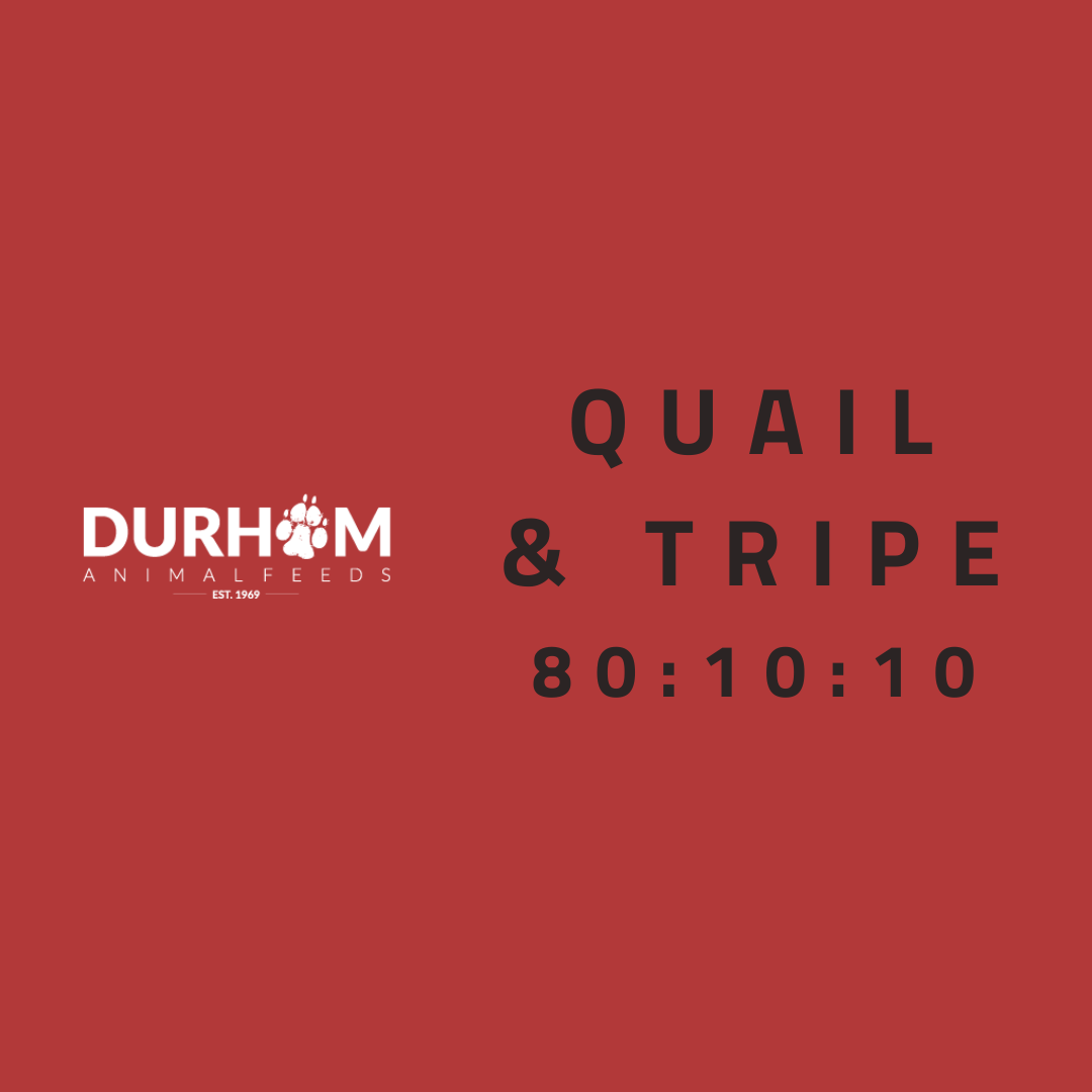 DAF - Quail & Tripe 454g