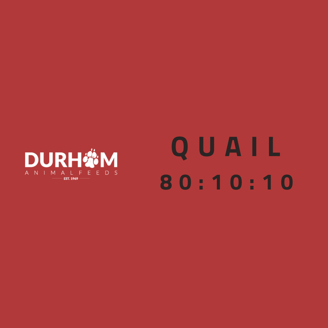 DAF - Quail 454g