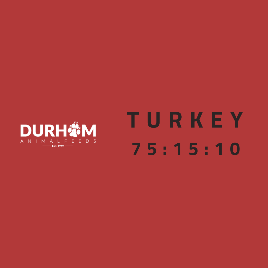 DAF - Turkey 454g