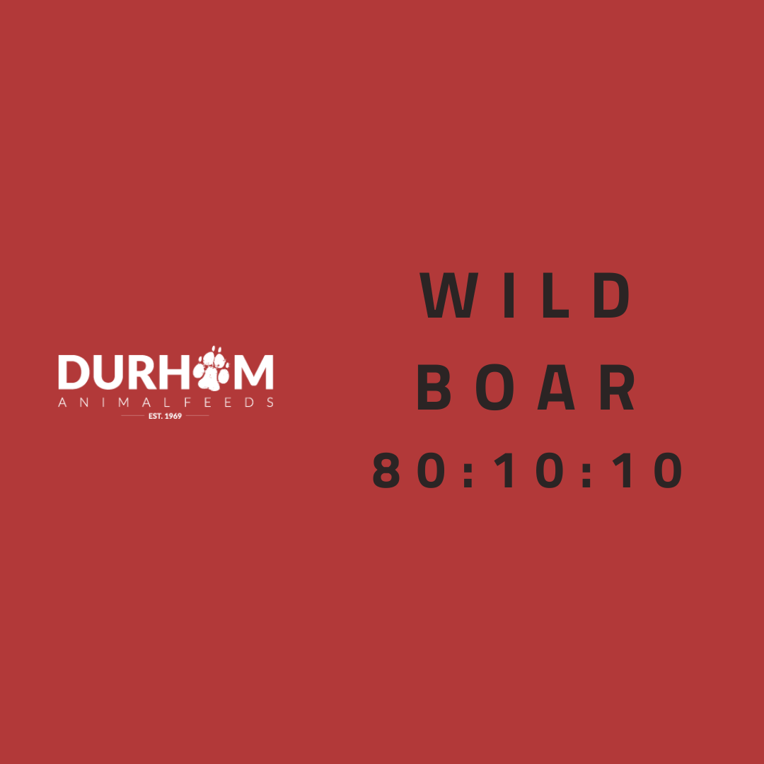 DAF - Wild Boar 454g