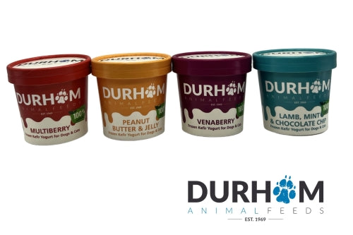 Kefir Yoghurt Pots - 4 x 85ml Pack