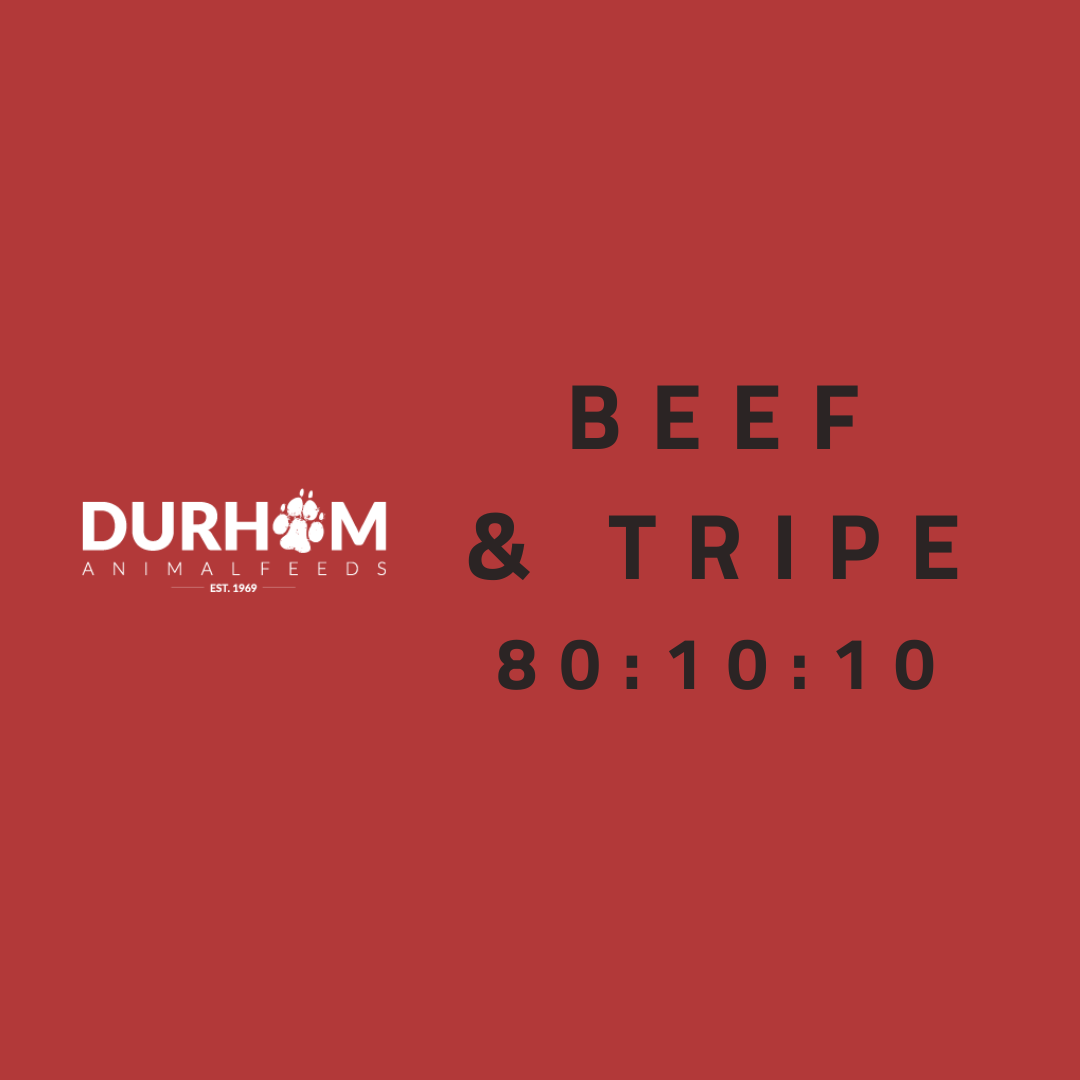 DAF - Beef & Tripe 454g