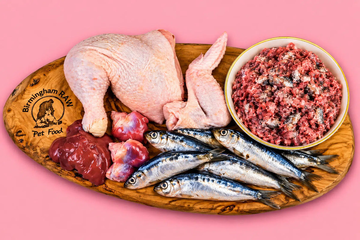 Birmingham Raw - Duck & Sardine 80:10:10 Mince 454g
