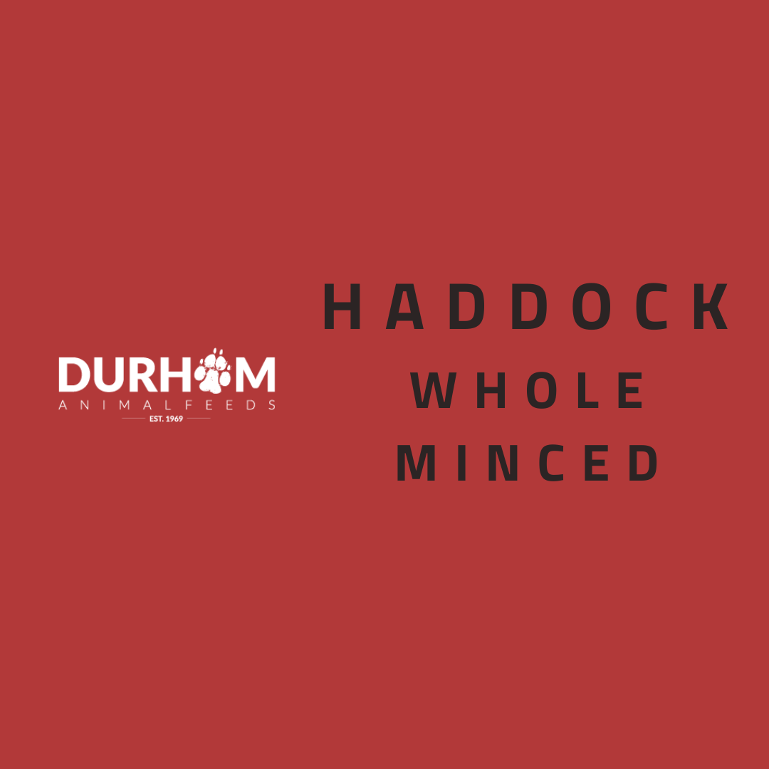 DAF - Haddock Mince 454g
