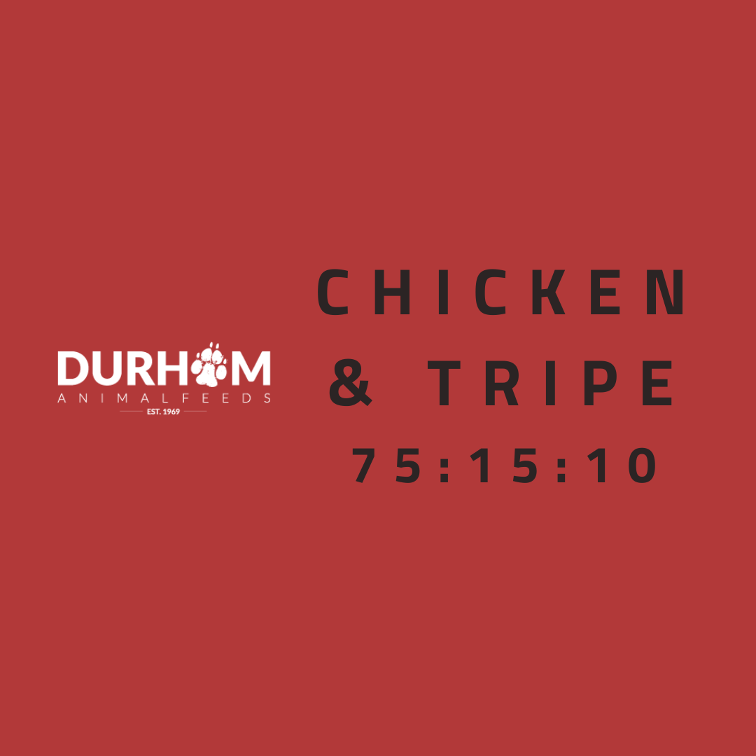 DAF - Chicken & Tripe 454g