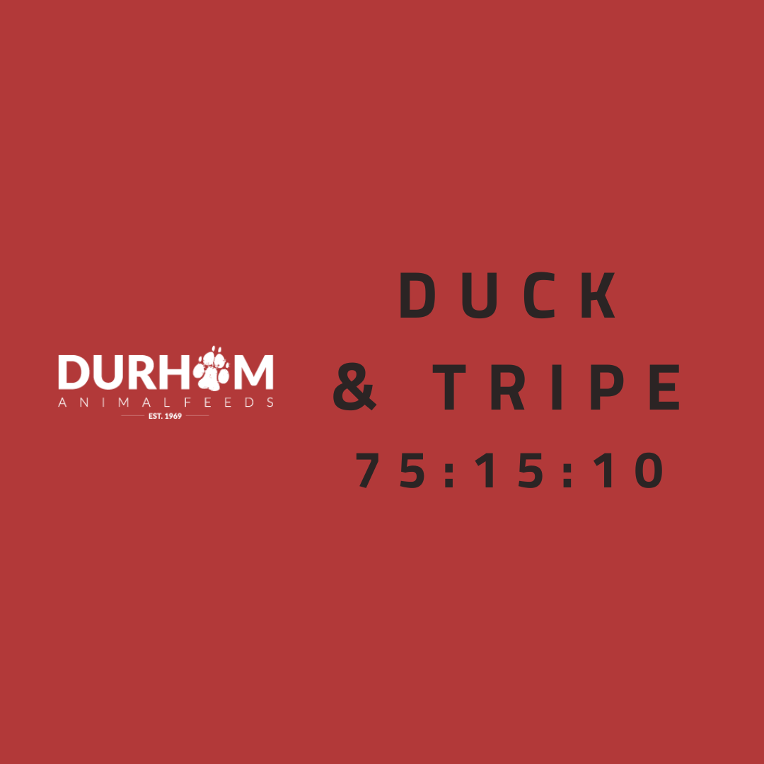 DAF - Duck & Tripe 454g