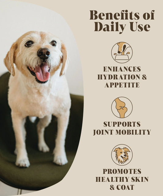 Bone Broth Powder for Dogs - Makes 5 Litres/24 Servings 🍖🥣