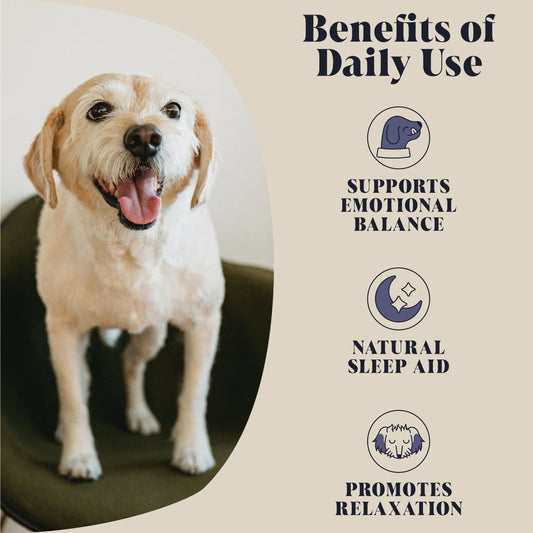 Calming Topper Goats Milk - Makes 12 Pints ☮️