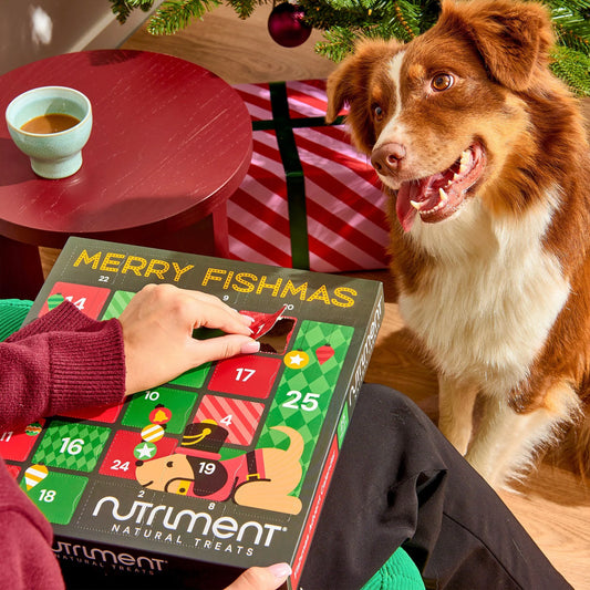 Dog Fishmas Advent Calendar - 25 Grain Free Fish Treats 🎄🐟