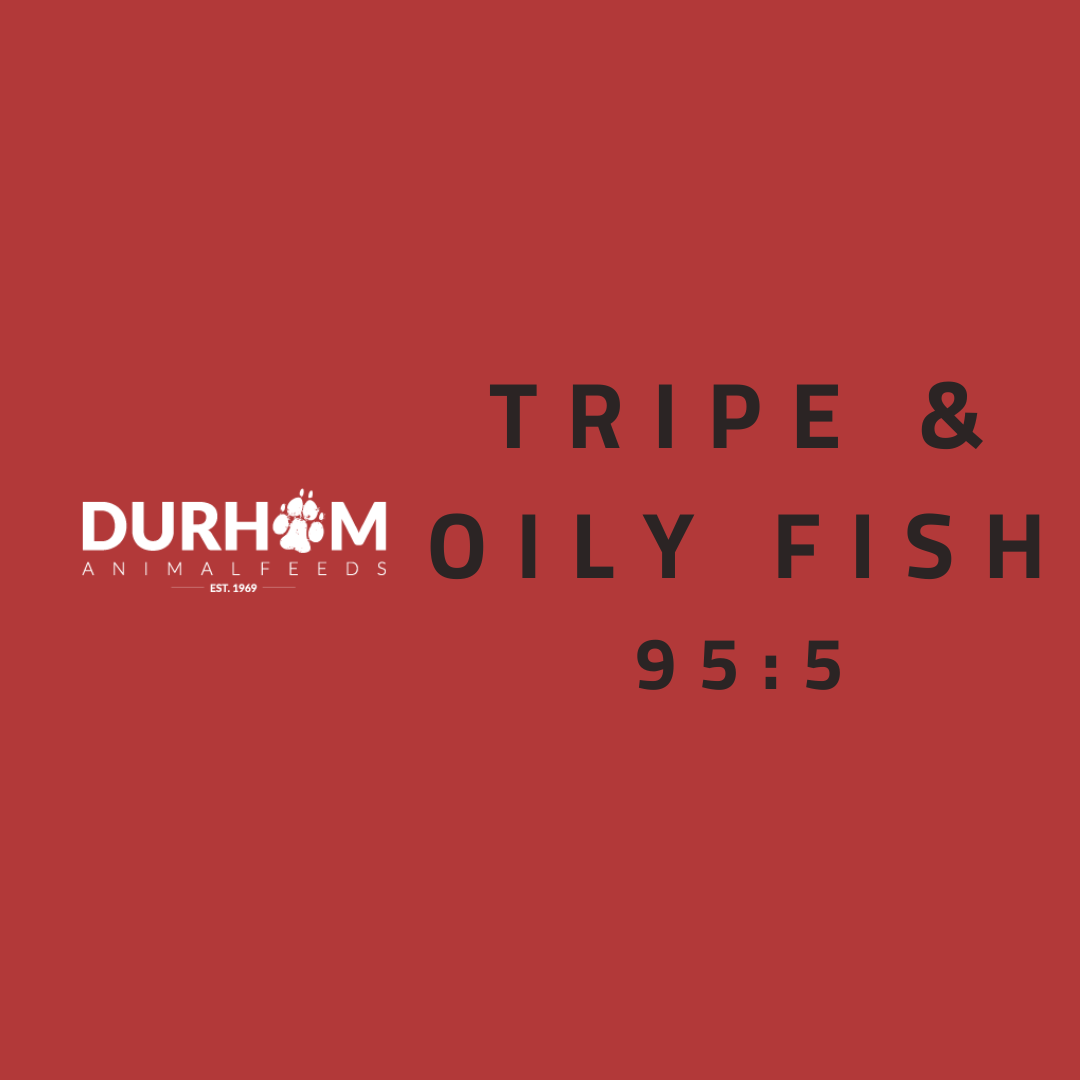 DAF - Tripe & Oily Fish 454g