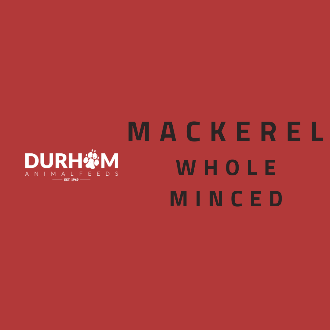 DAF - Mackerel 454g