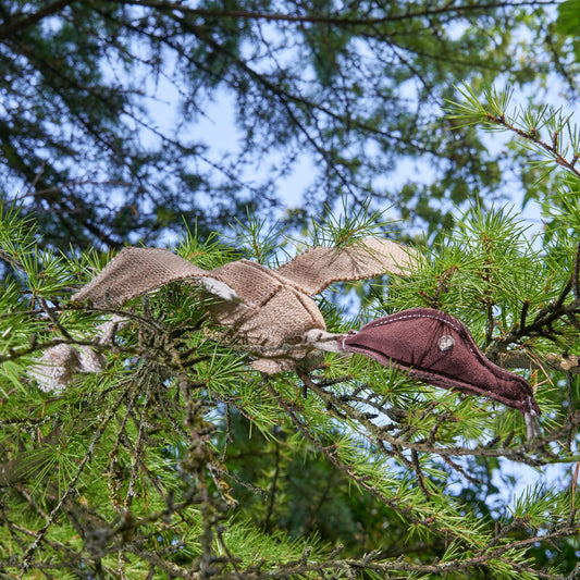 Desmond the Duck - Green & Wilds Eco Dog Toy