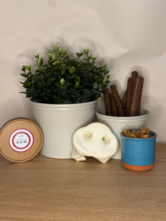 Puffed White Pig Snout