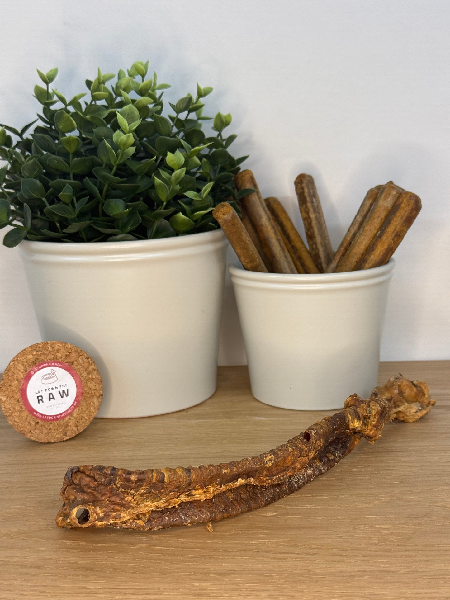 Lamb Trachea