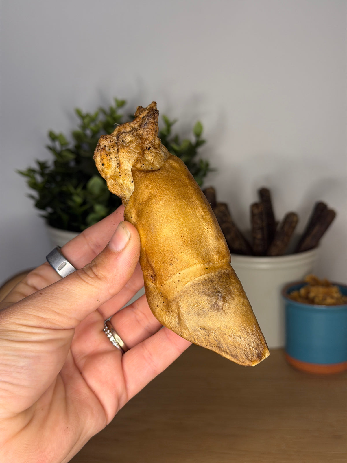 Air-Dried Venison Hoof