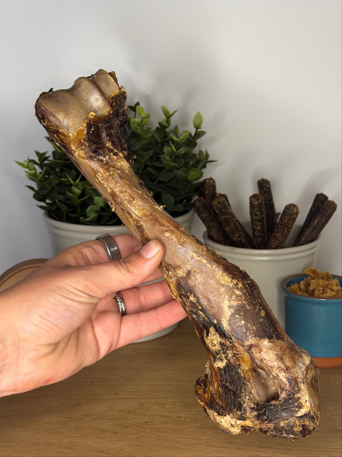 Air-Dried Smoked Giant Venison Bones