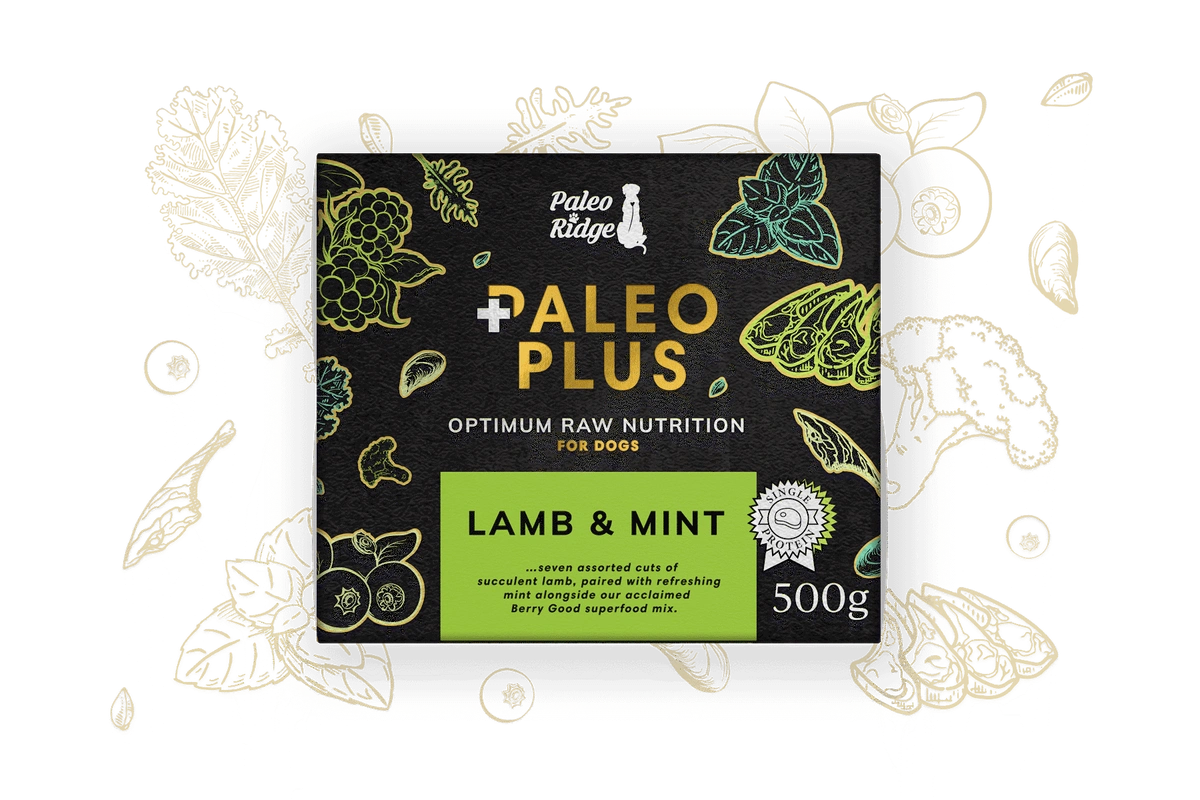 Paleo Ridge - Paleo Plus Lamb & Mint 500g