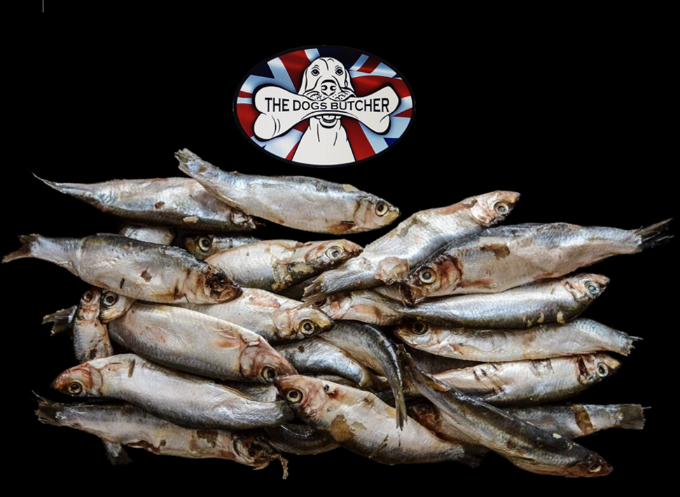 The Dog's Butcher - Whole Seasonal Oily Fish 1kg