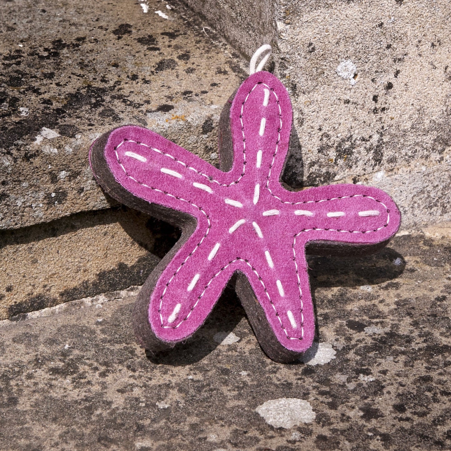 Stanley the Starfish - Green & Wilds Eco Dog Toy