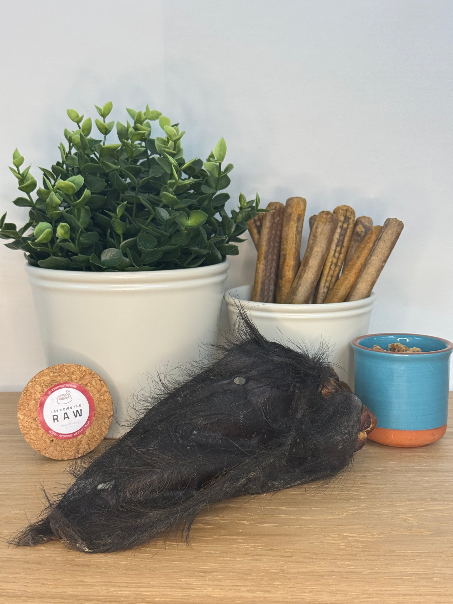 Buffalo Hairy Ear