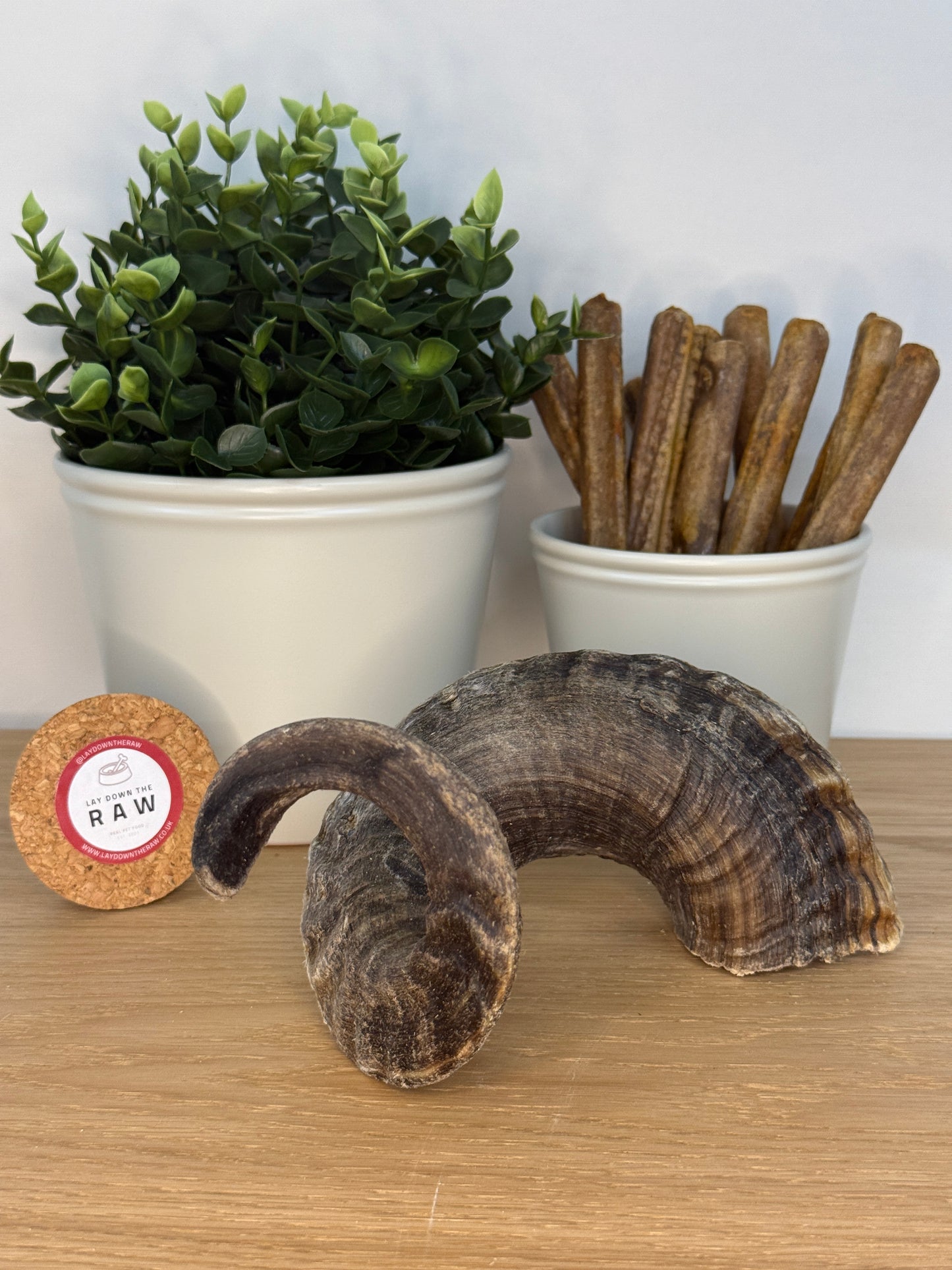 Lamb Horn