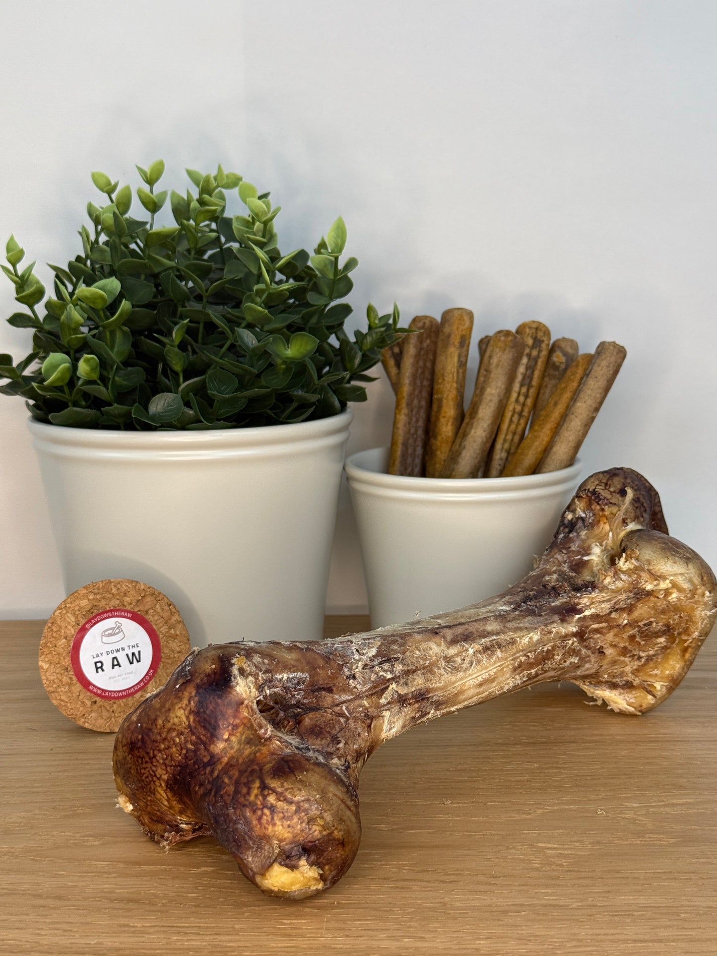 Ostrich Dino Bone