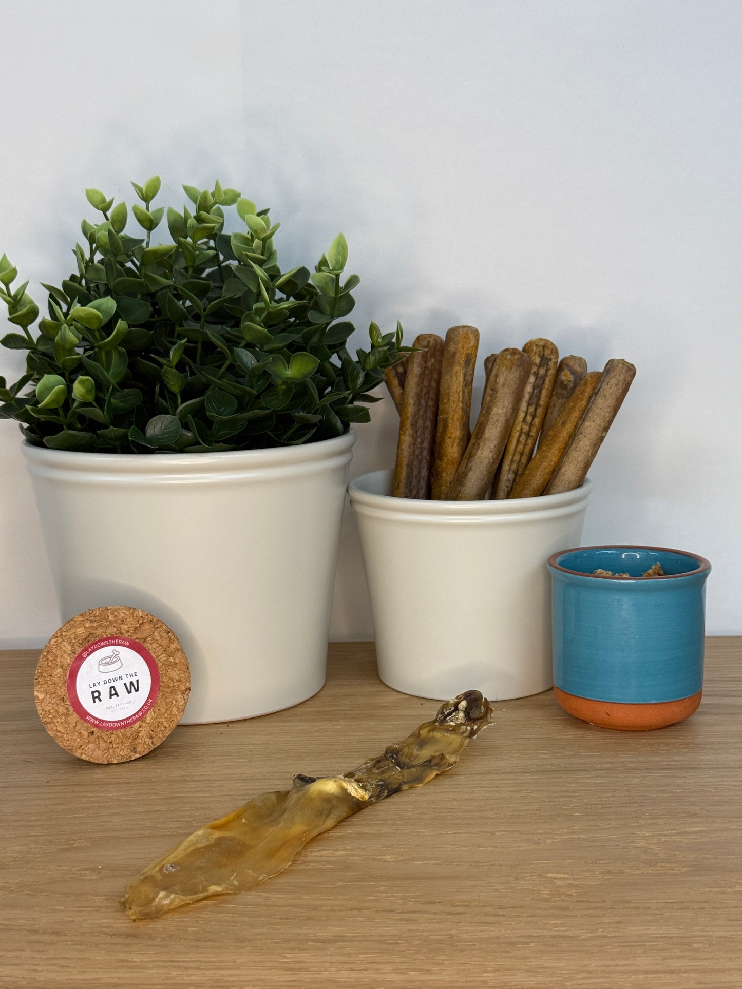 Rabbit Ears - No Fur