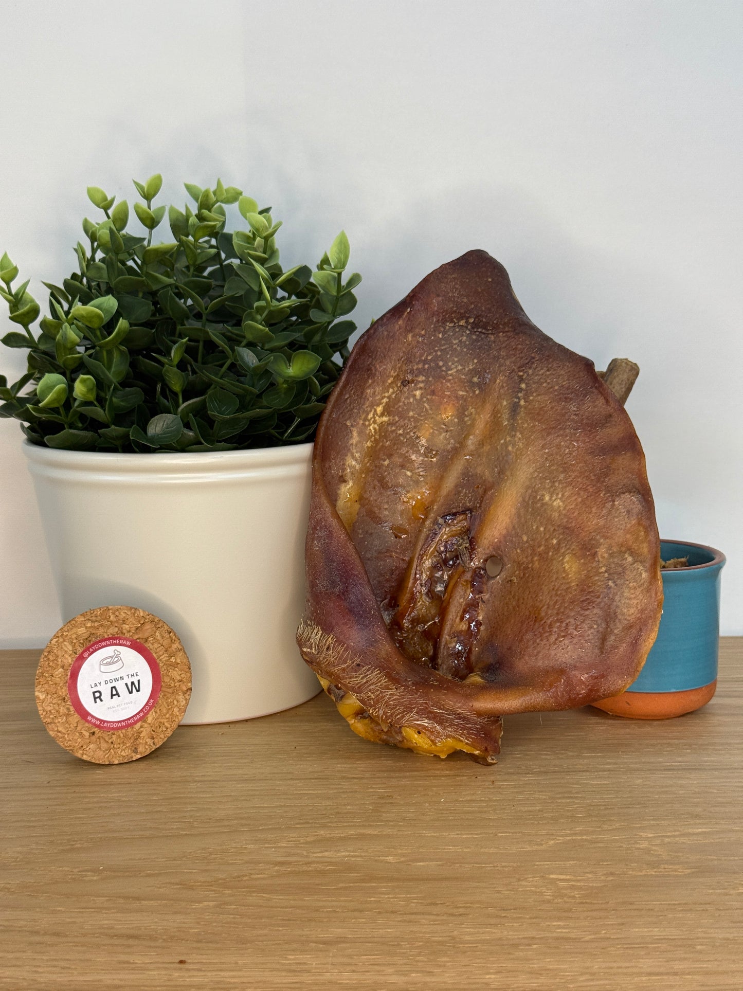 XL Sow Ear