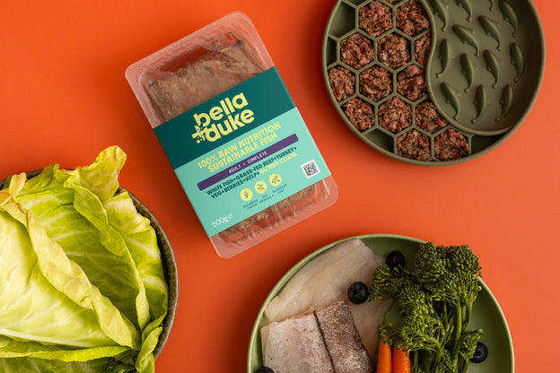 Bella & Duke - Complete Sustainable Fish 500g