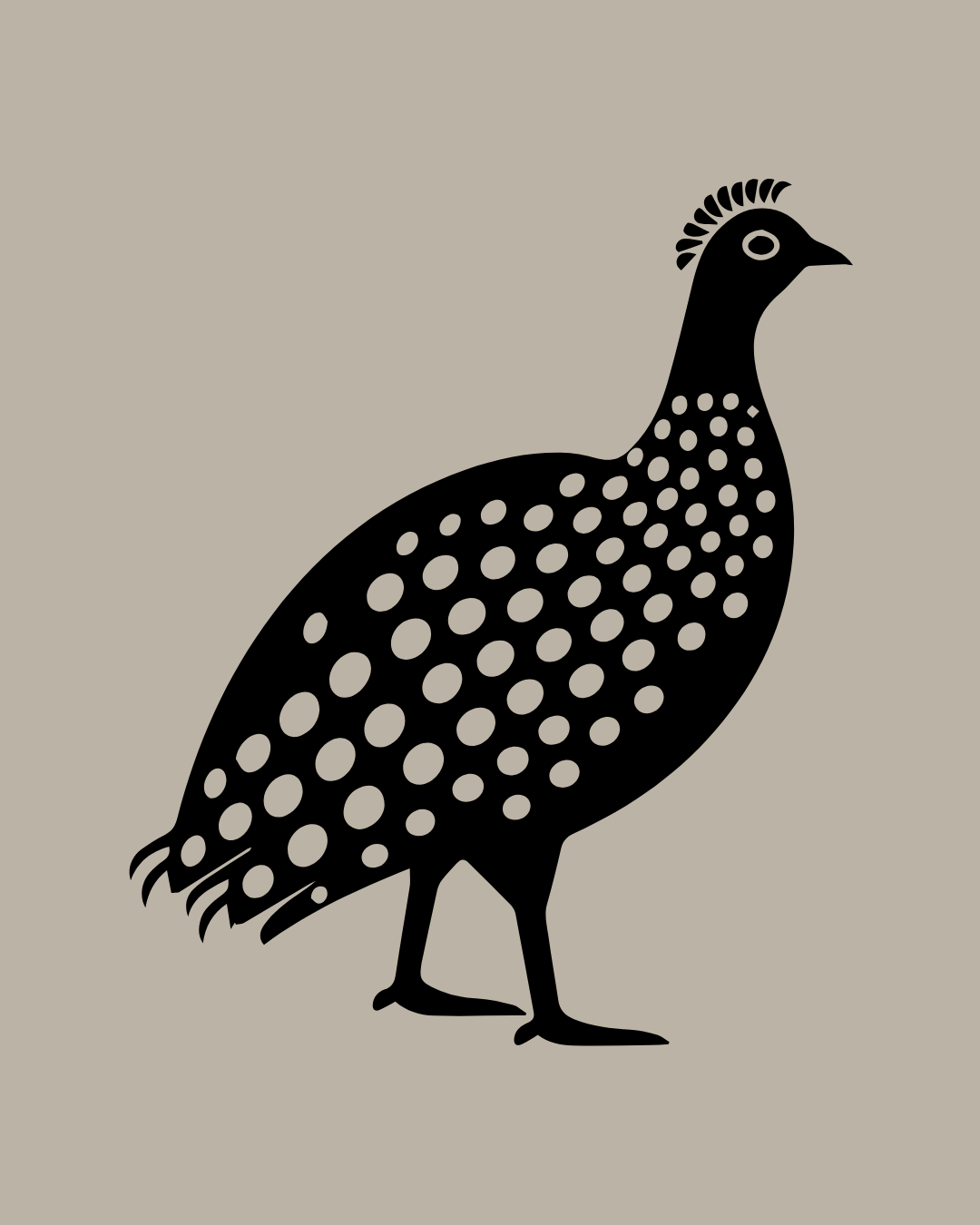 Guinea Fowl