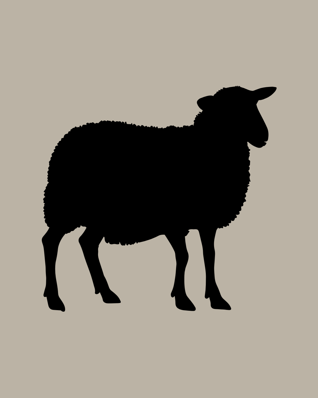 Lamb