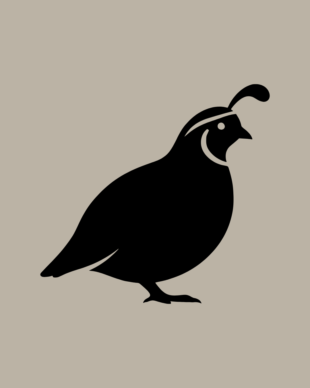 Quail