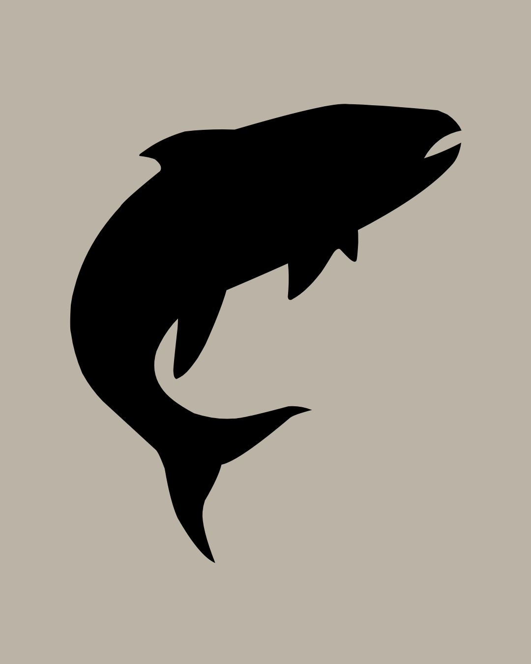 Salmon