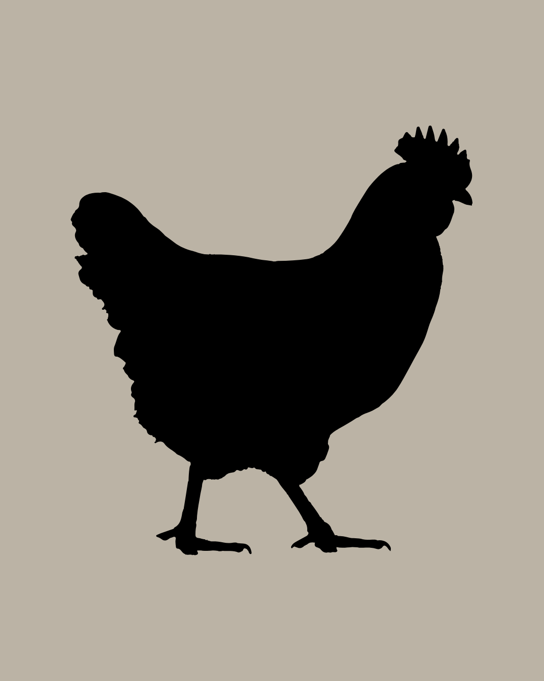Chicken