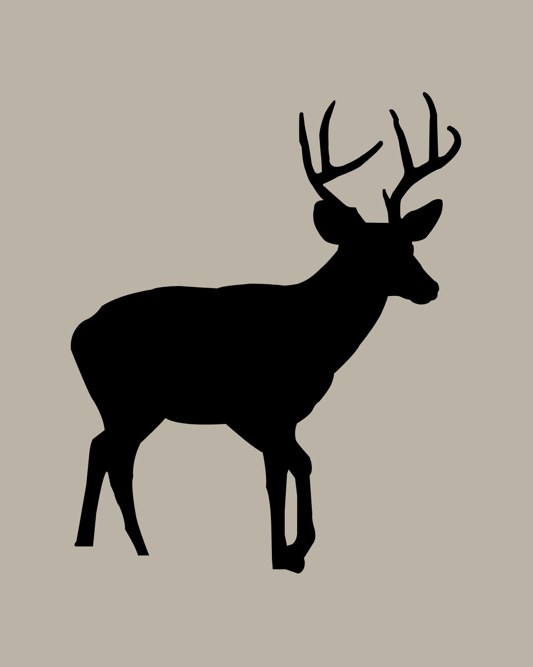 Venison