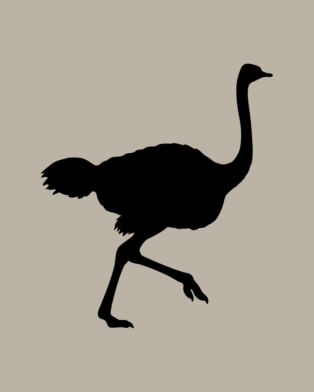 Ostrich