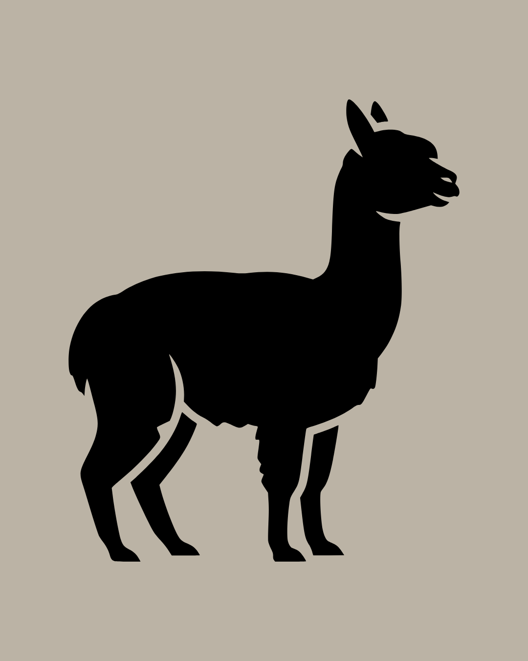 Alpaca