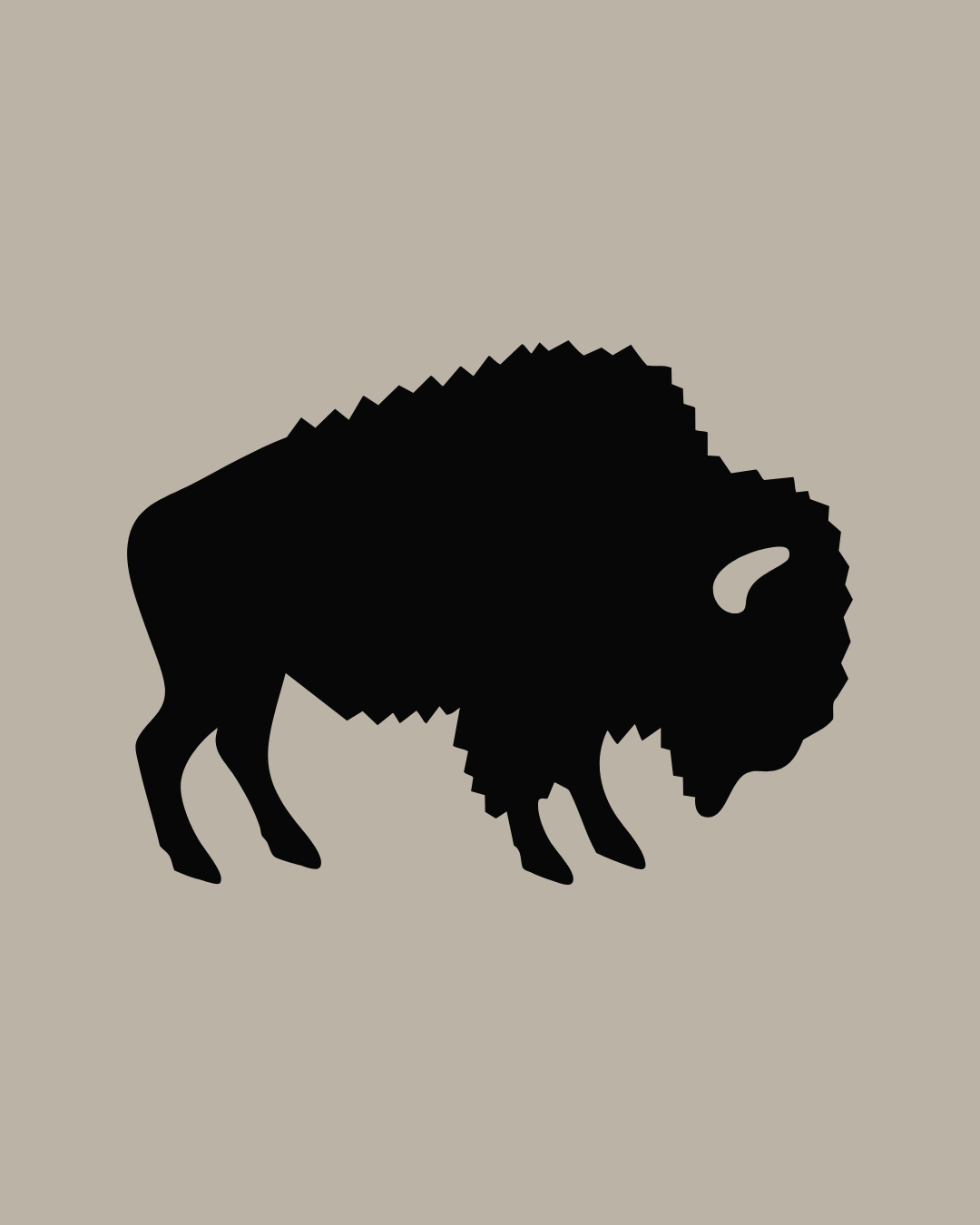 Buffalo