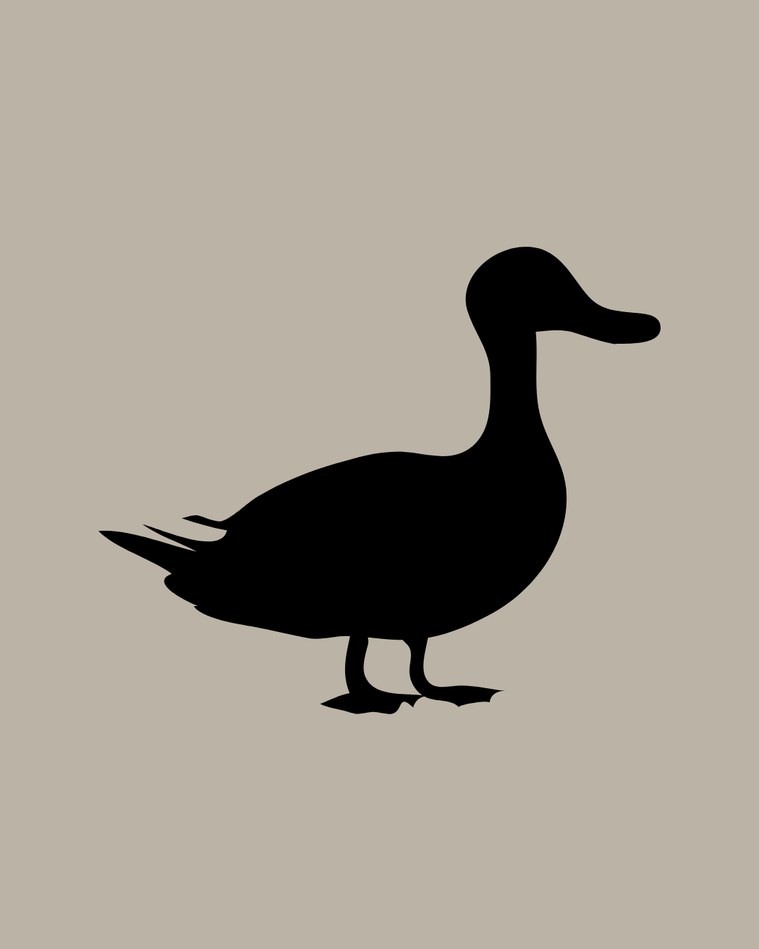 Duck