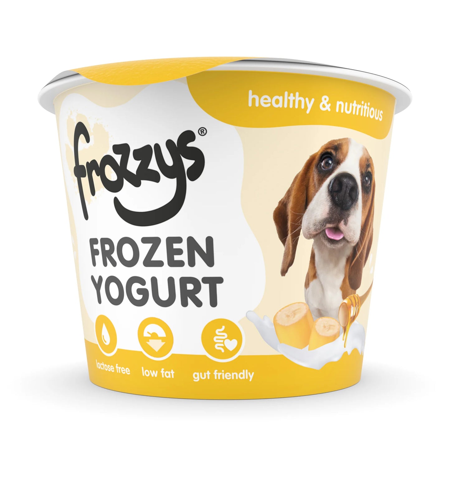 Frozzys - Banana & Honey Frozen Yoghurt for Dogs