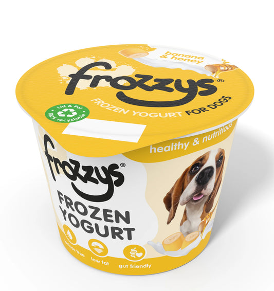 Frozzys - Banana & Honey Frozen Yoghurt for Dogs