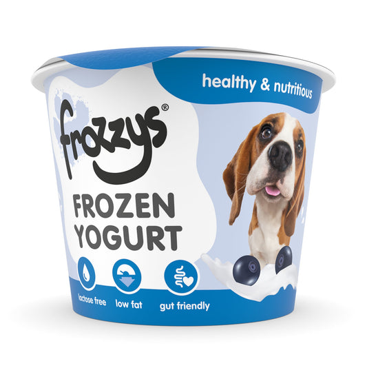 Frozzys - Blueberry Frozen Yoghurt for Dogs