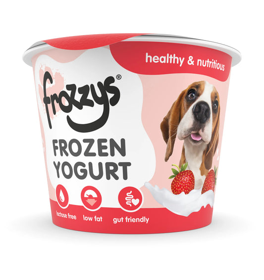 Frozzys - Strawberry Frozen Yoghurt for Dogs