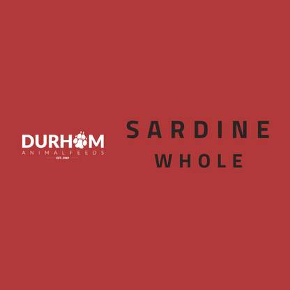 DAF - Sardine 454g