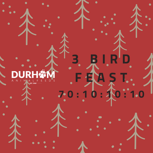 DAF - 3 Bird Feast with Fruit & Veg 454g